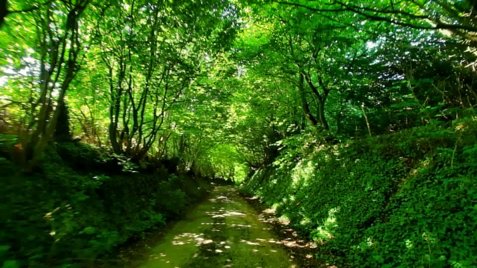 Chemins Thil-Manneville