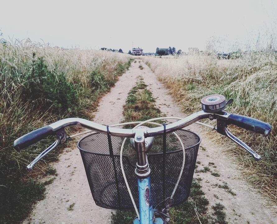 Véo_chemin_champs