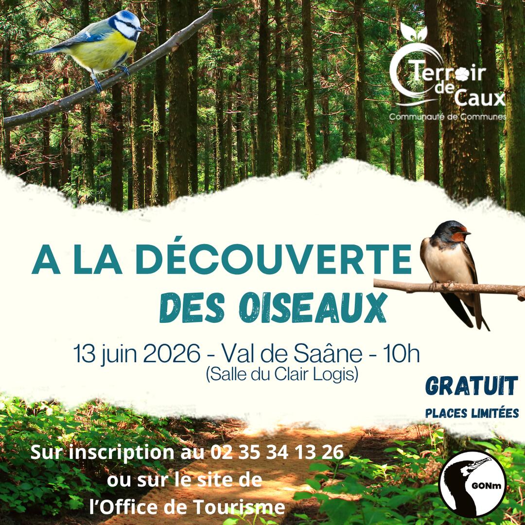 A la découverte des oiseaux - 1