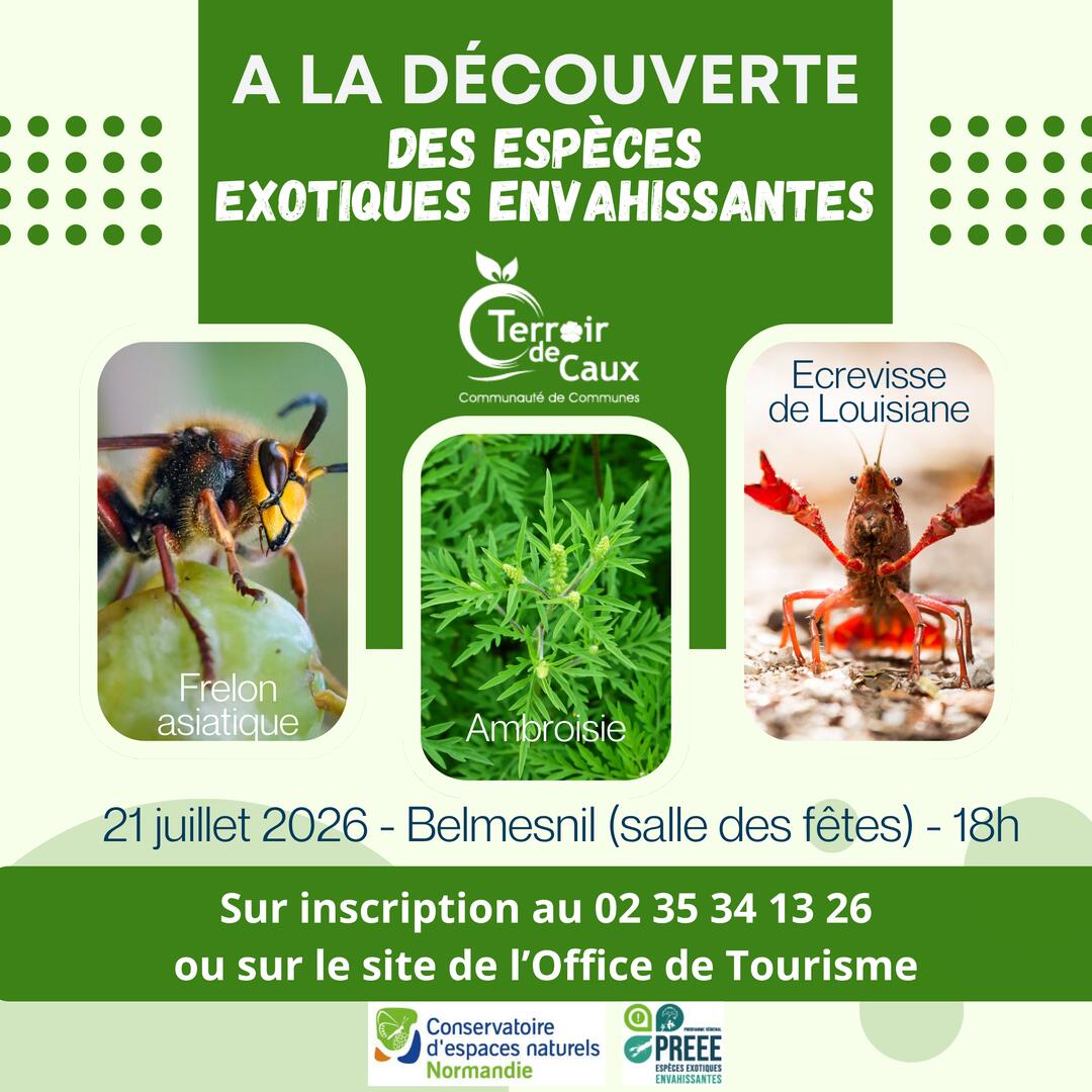 A la découverte des espèces exotiques envahissantes