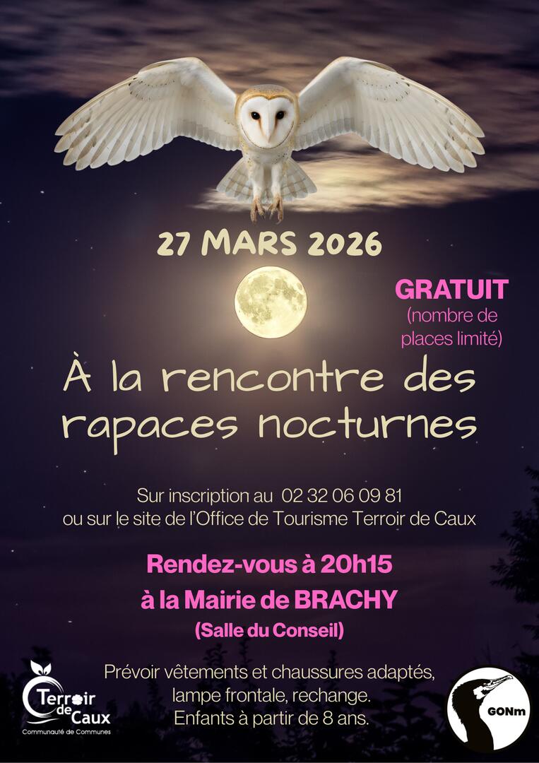 À la rencontre des rapaces nocturnes - 1