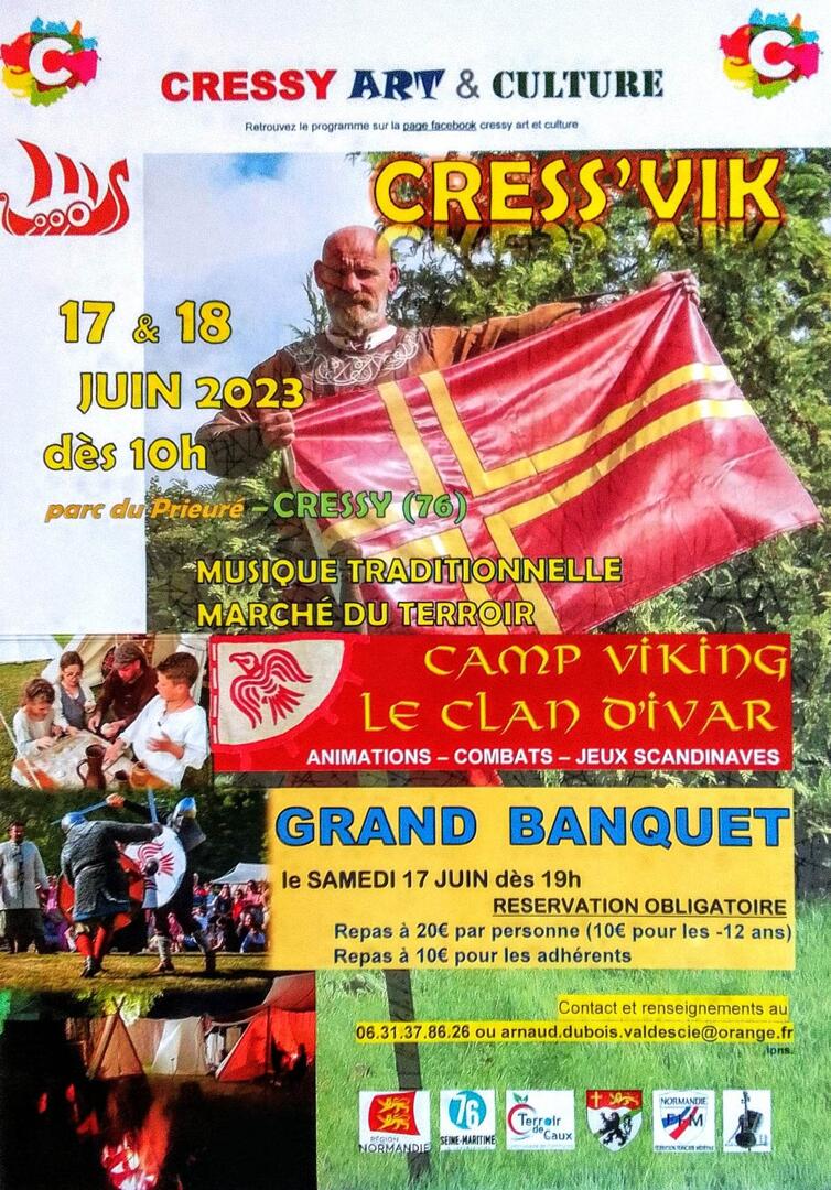 Affiche CRessy Vikings