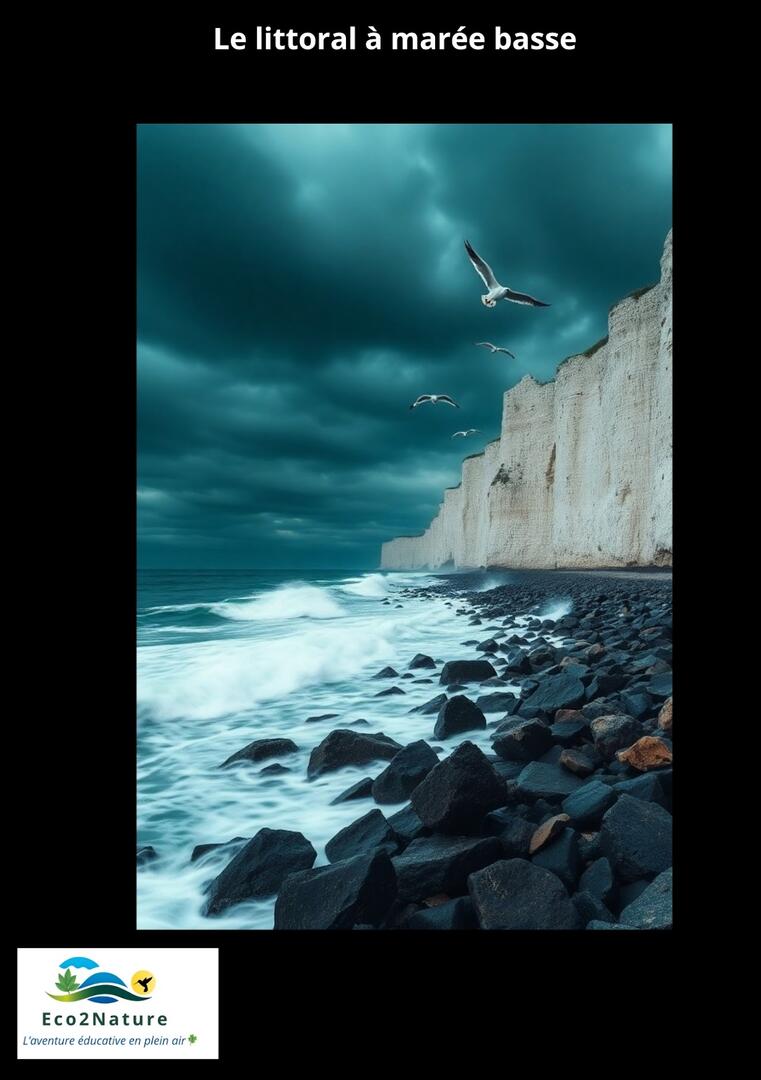 Le littoral à marée basse - plage de Sainte-Marguerite-sur-Mer