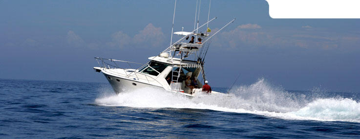 Bateau location