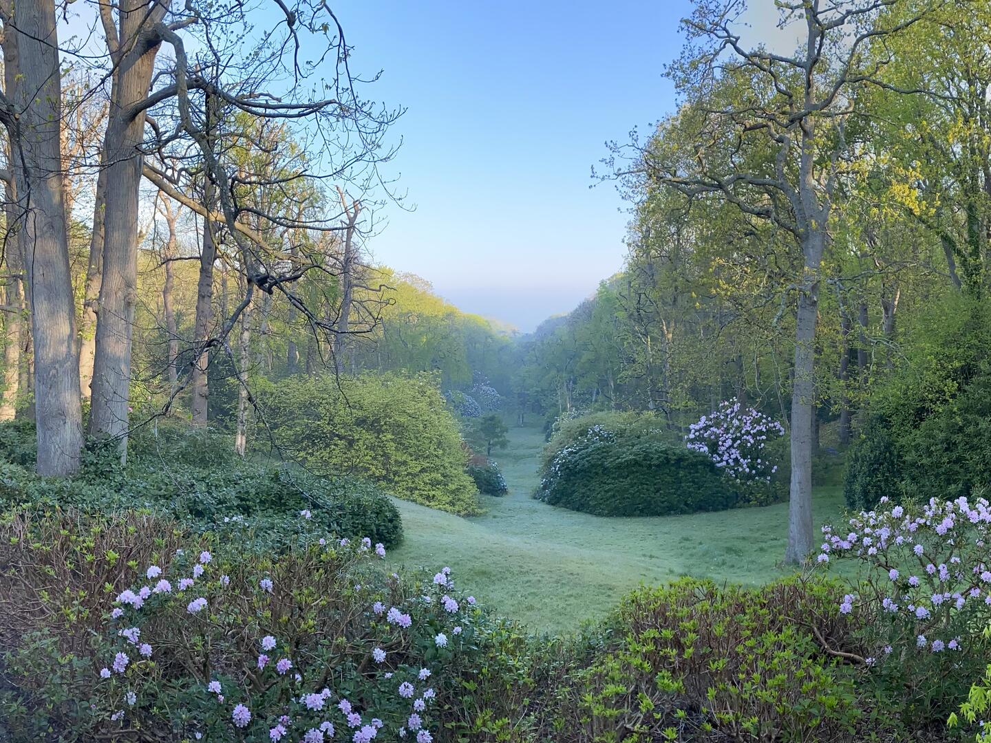 Bois de Morville