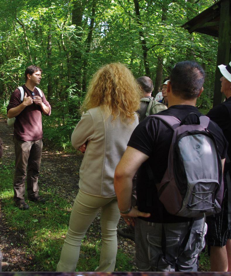 Bois des Communes