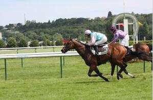 Course hippique