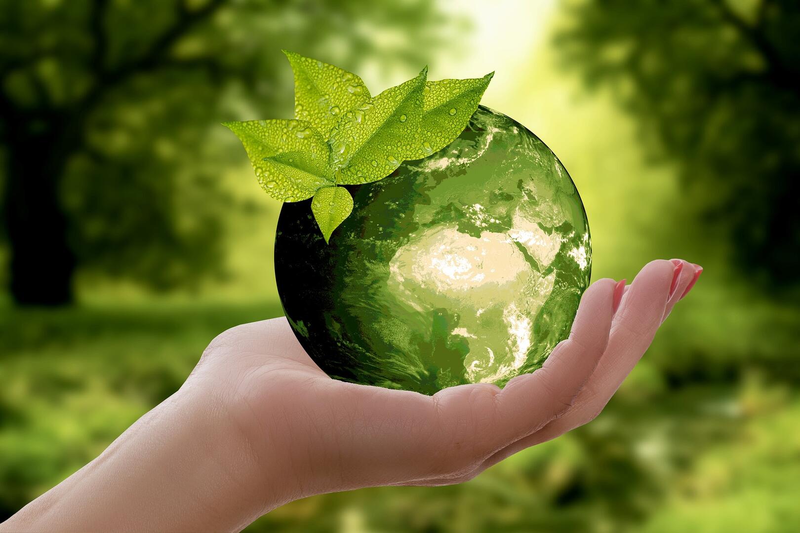 Développement durable