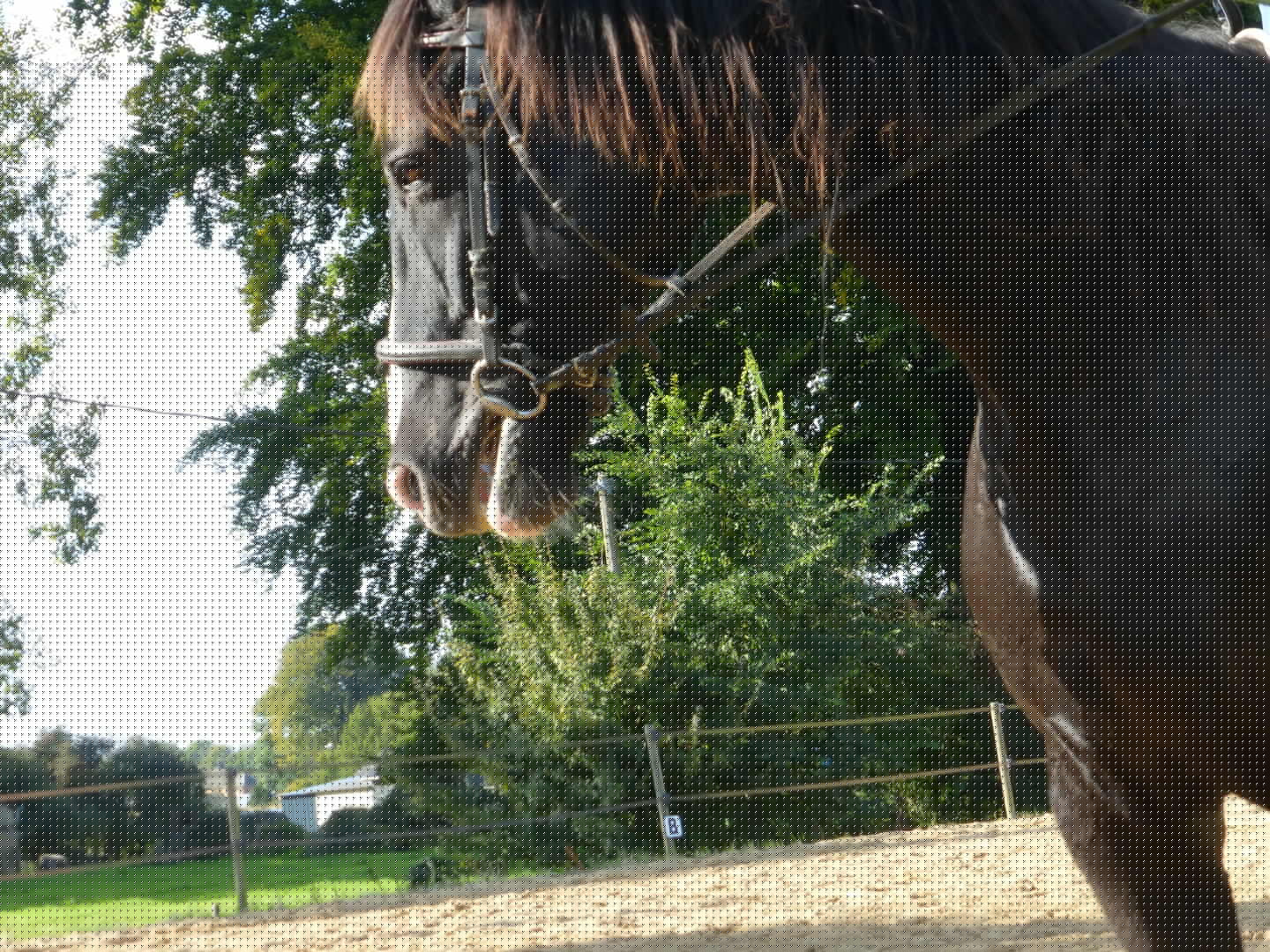 Ecurie des grandes plaines