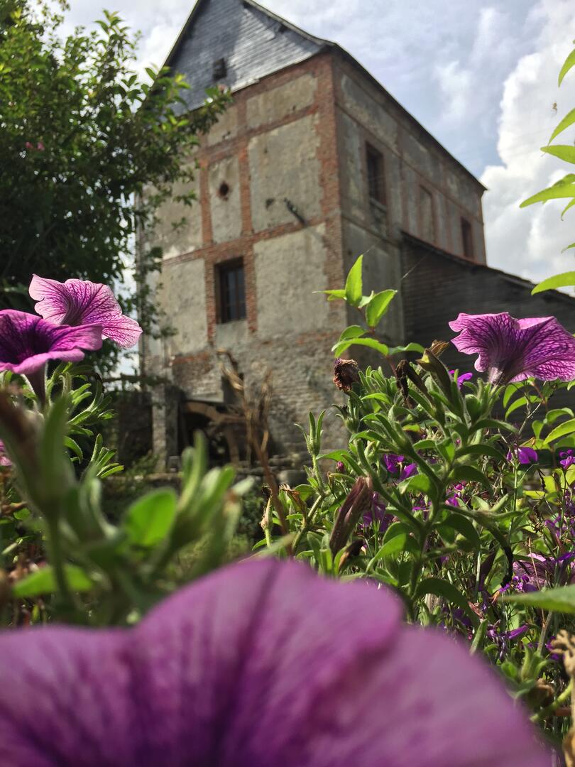 Moulin Arbalète Fleurs