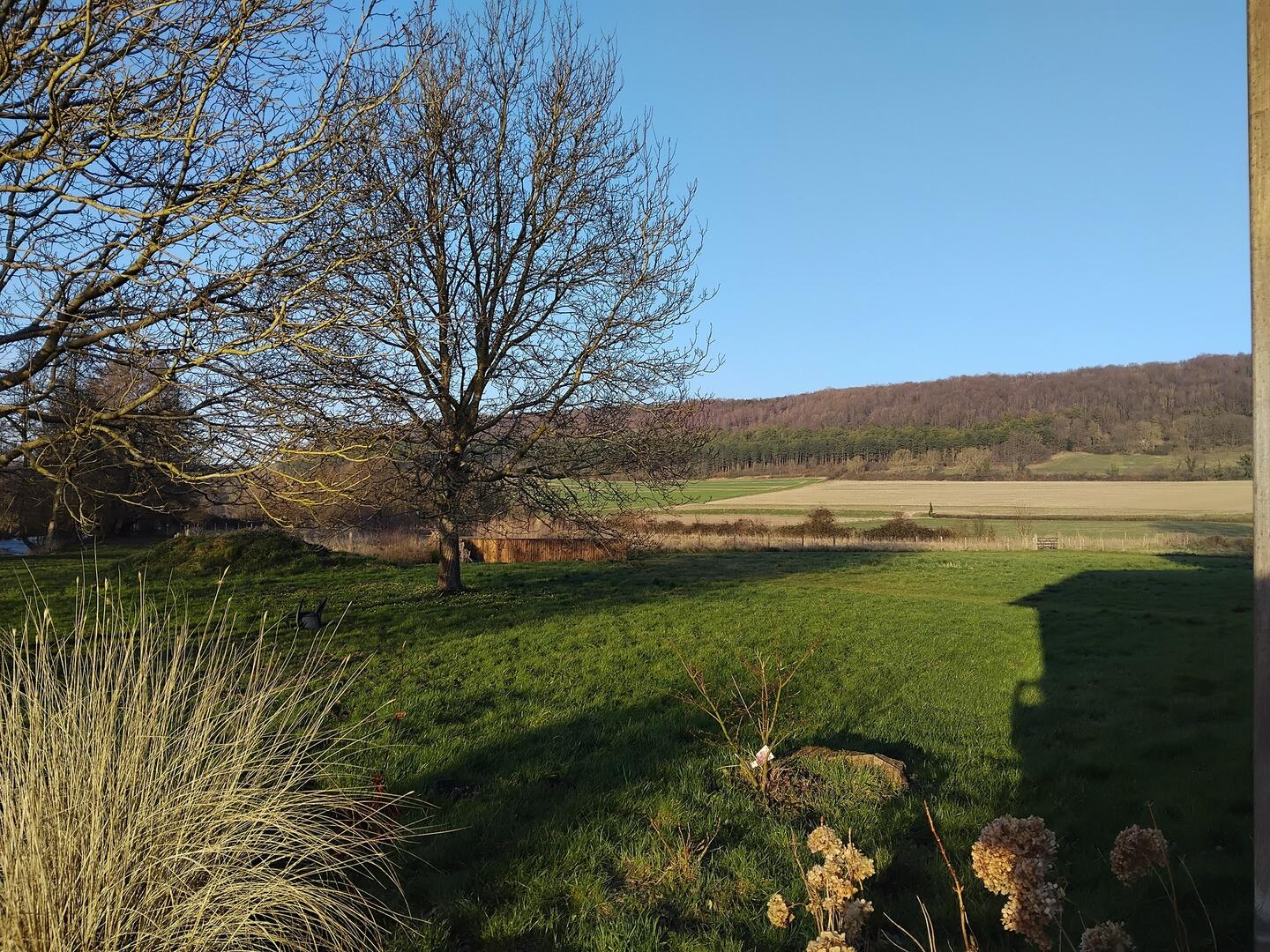 Jardin d'assainissement ©La Ferme du Pollet
