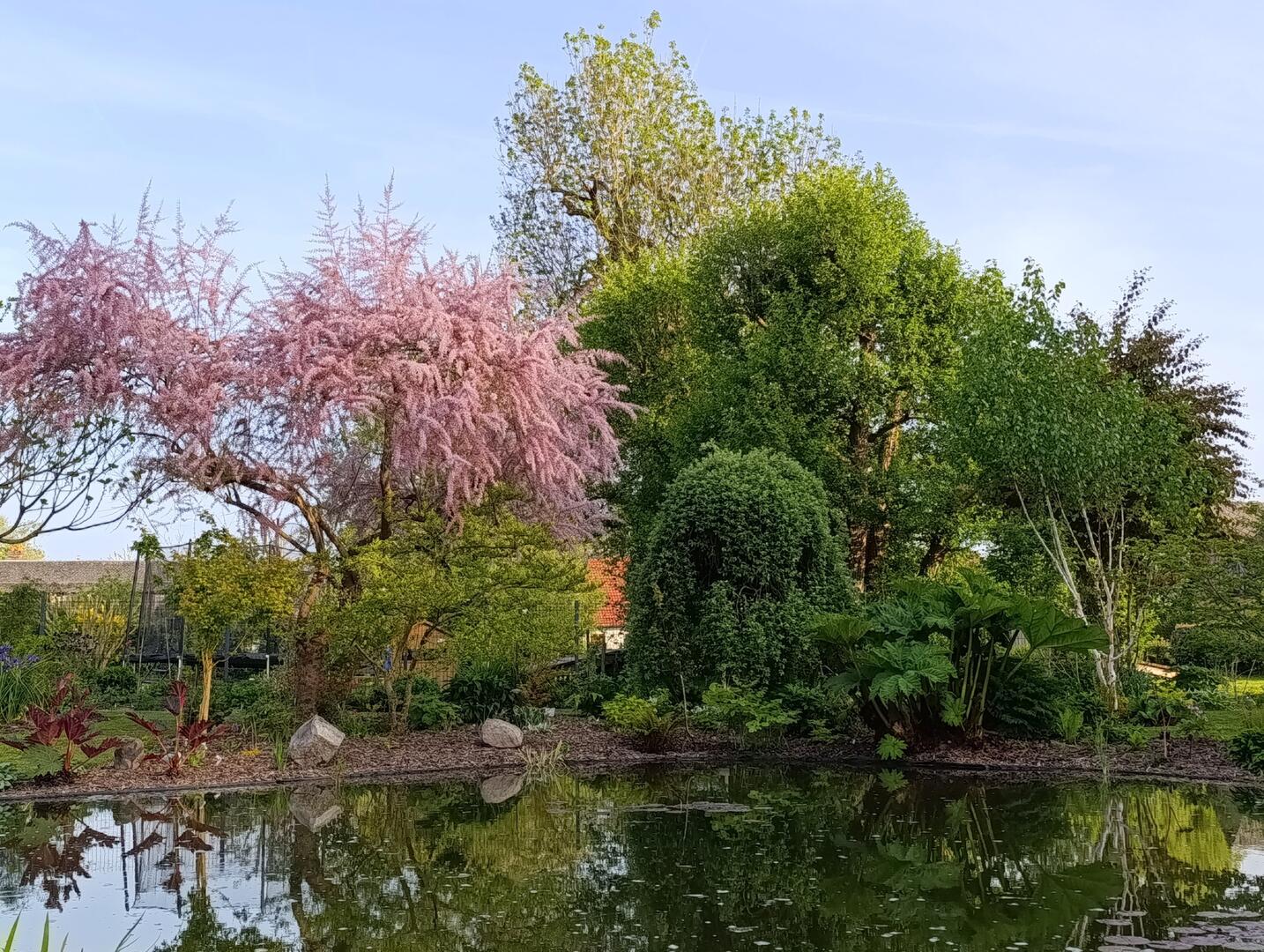 Jardin de Scielvain