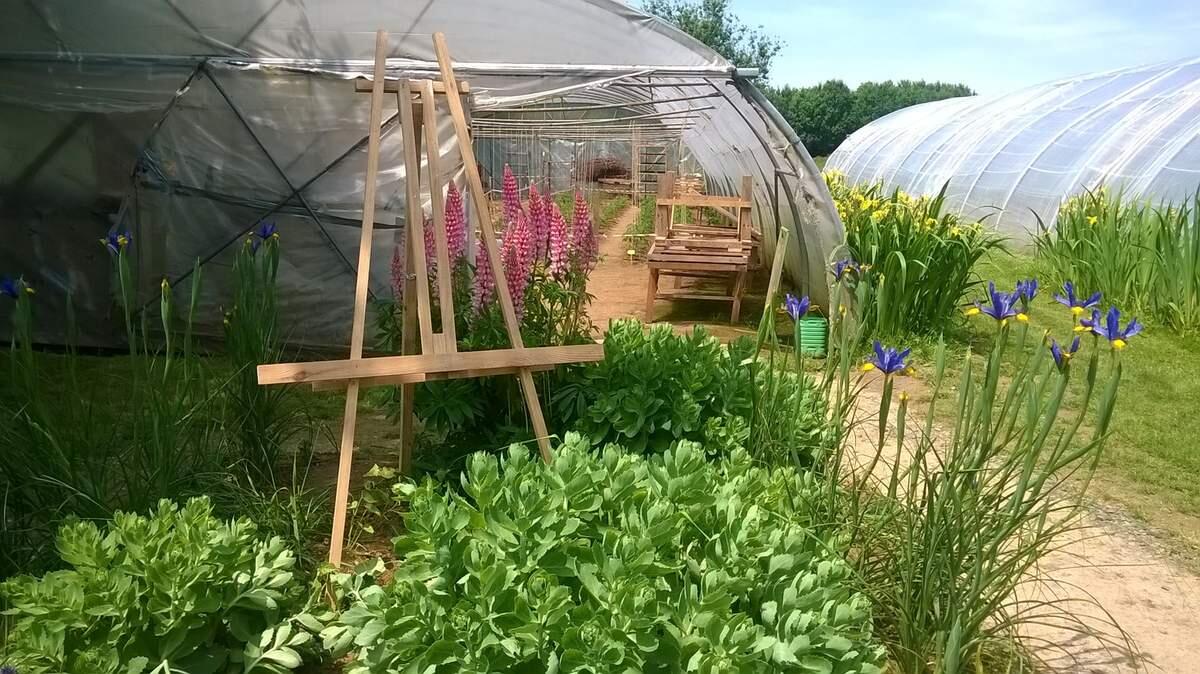 Jardin partagés MasC de TOTES