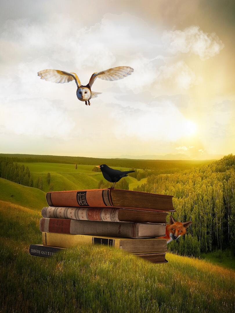Livres de contes