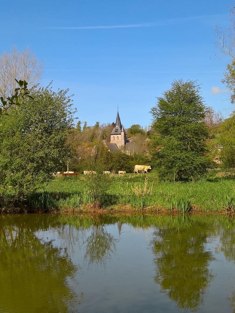 Marais Longueil - Photo Pierre demeure (3)