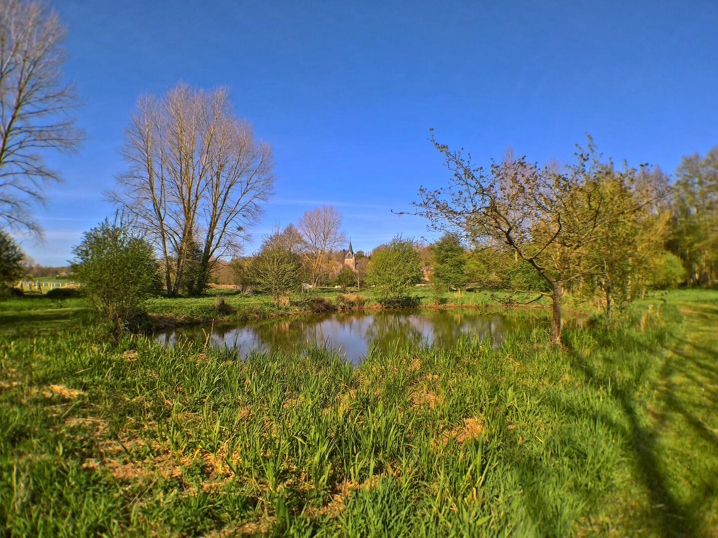 Nature : Marais de Longueil
