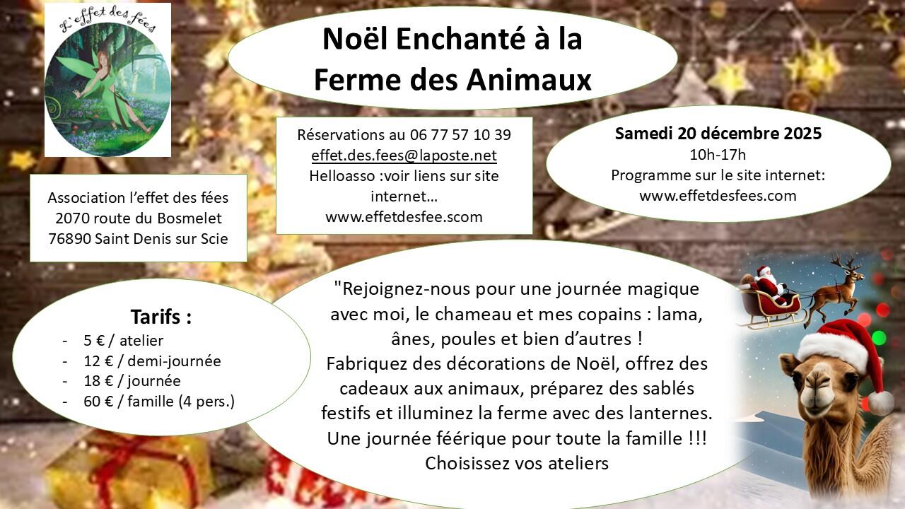 Noël Effet des Fées 2025