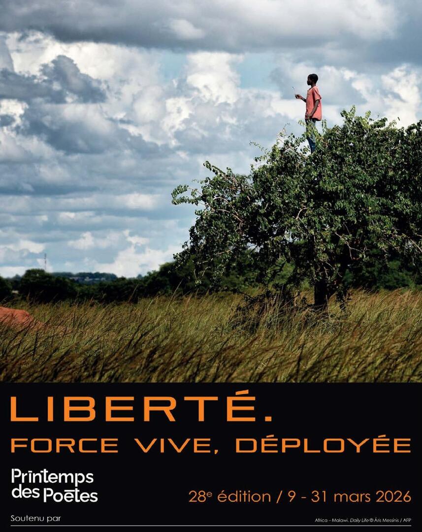 Elegant Minimalist A4 Stationery Paper Document - 1