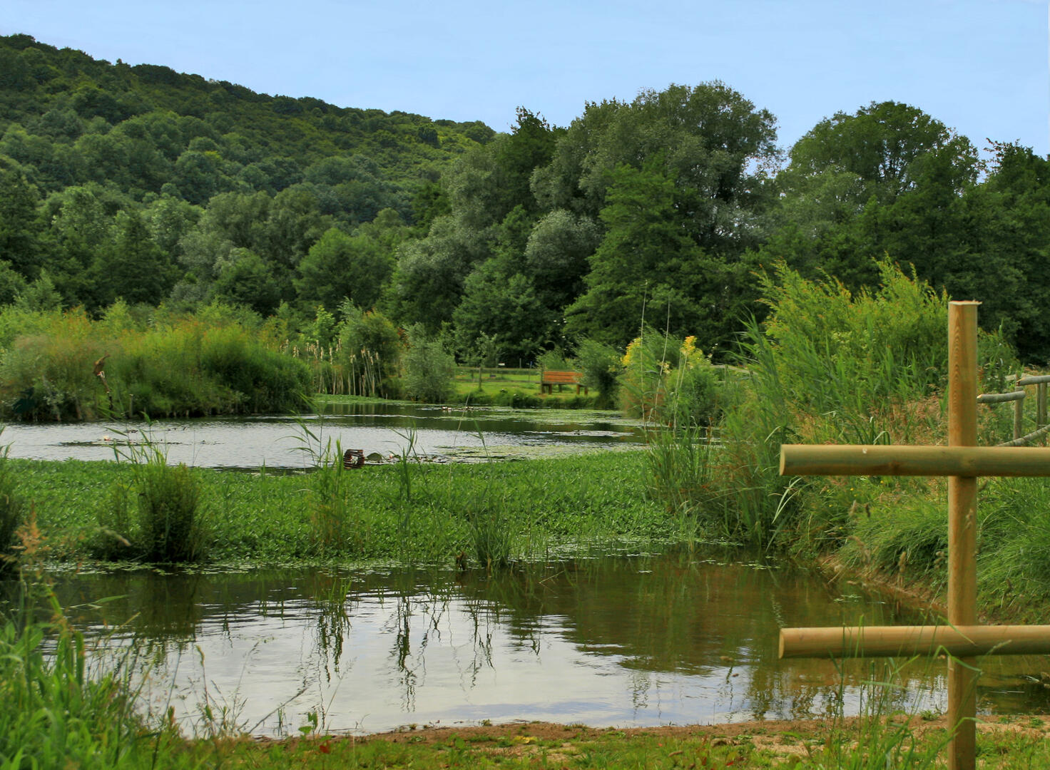 Parc naturel éducatif Guy Weber_02
