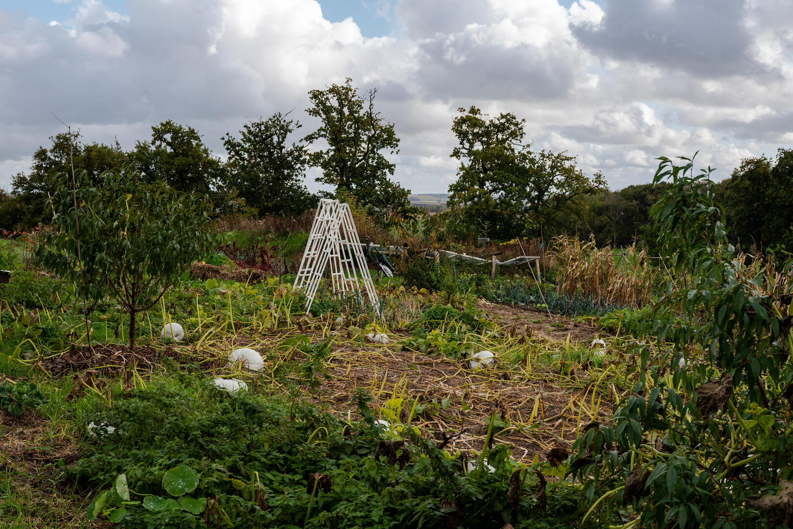 Permaculture Nouvelles Elégances