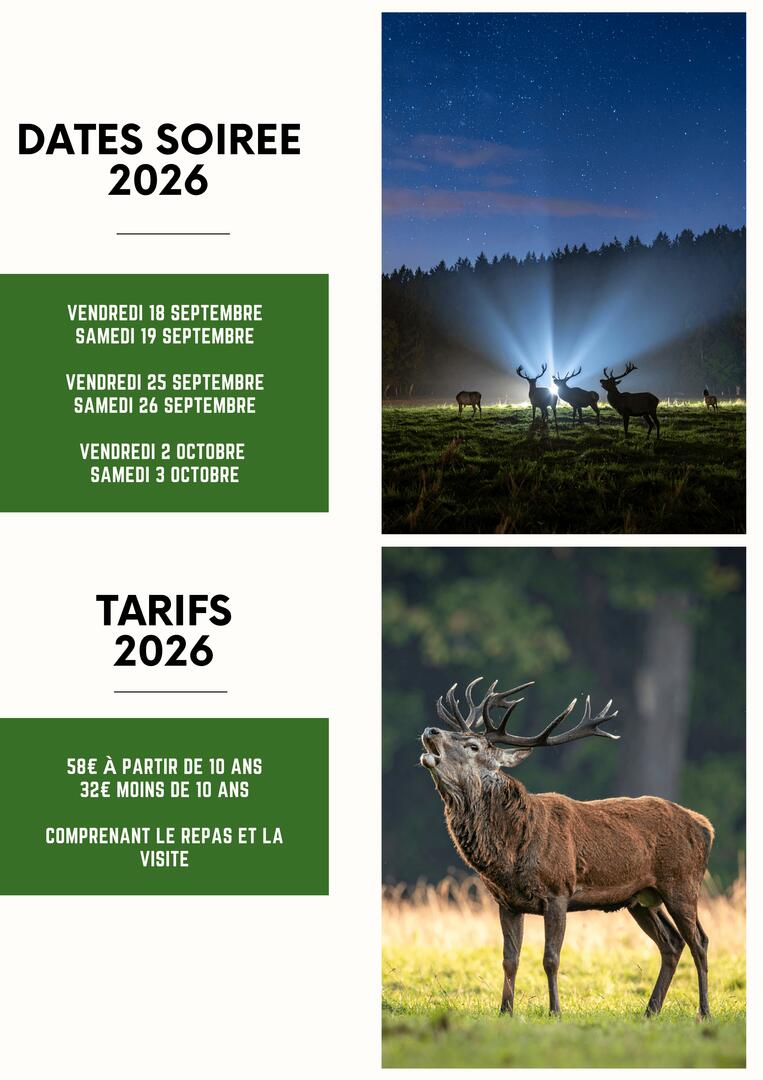 Les soirées brâme du cerf