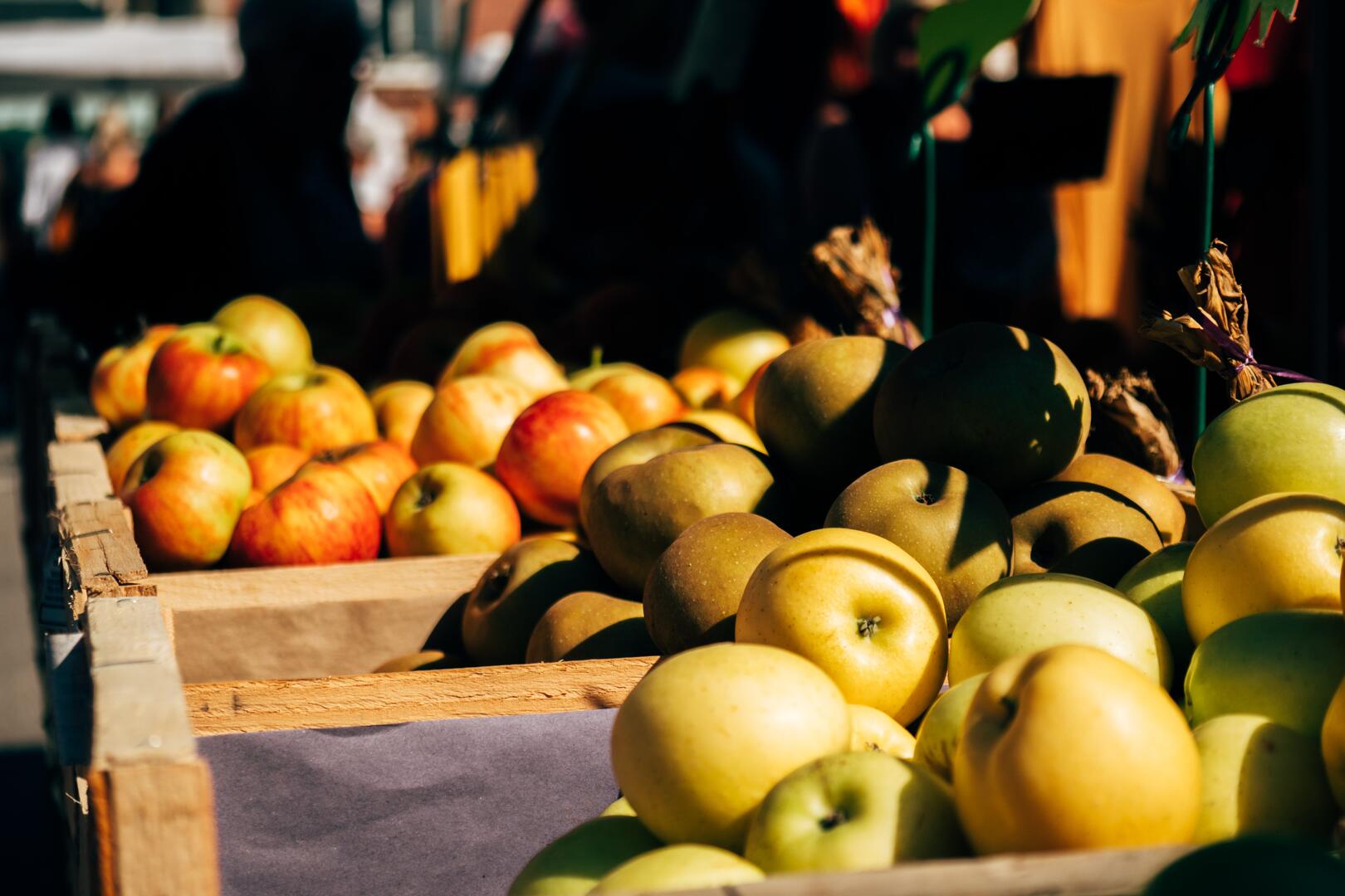 Des fruits de saison