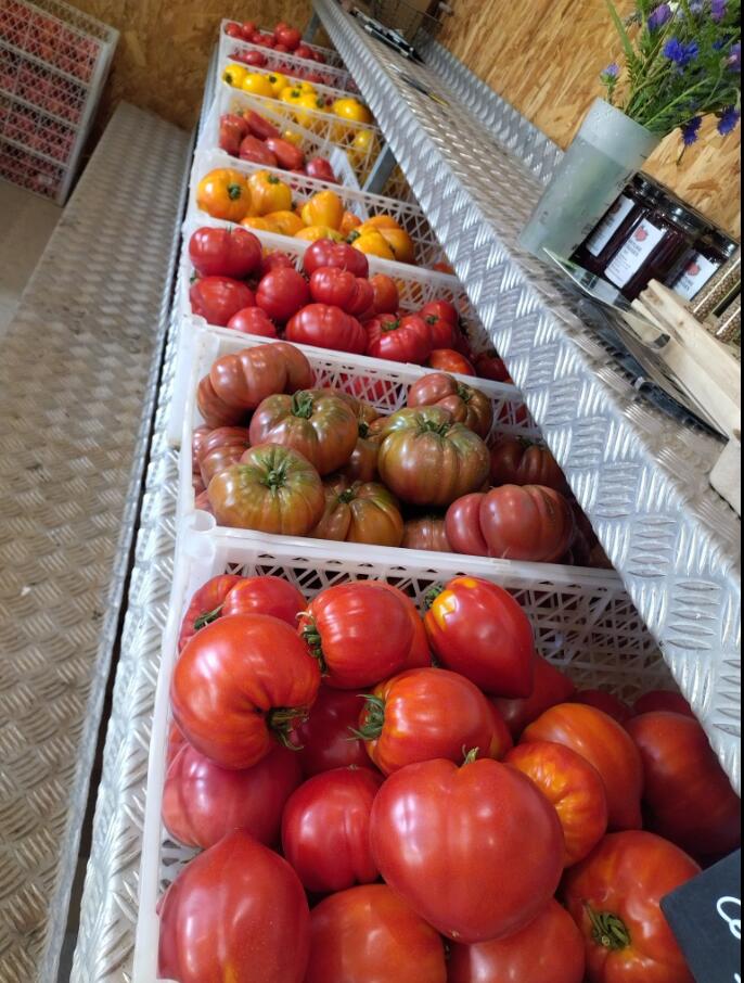 Tomates