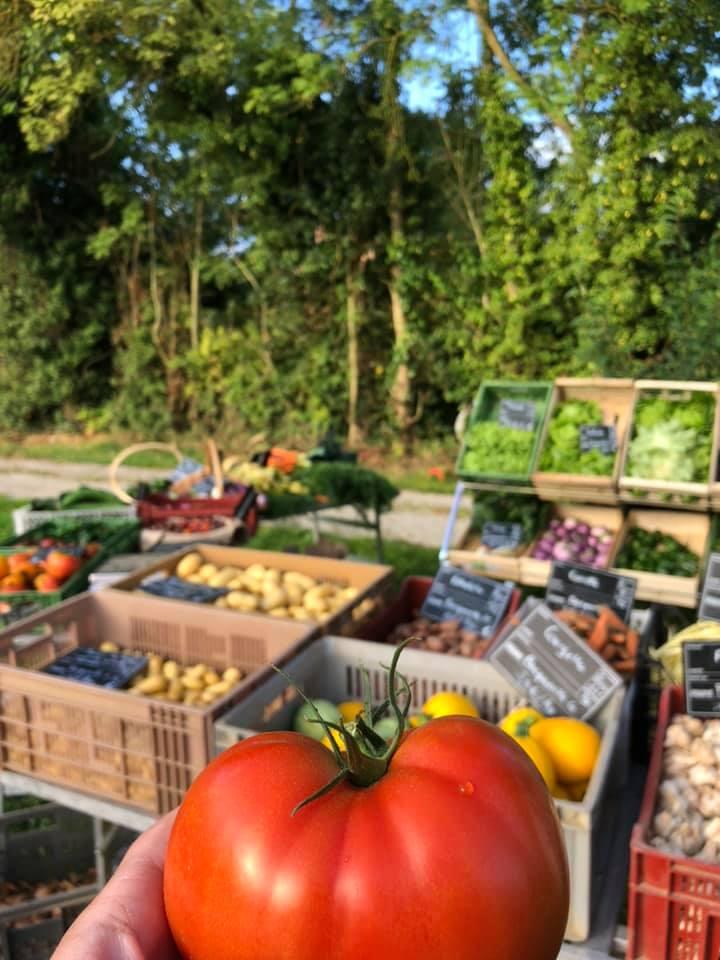 Vente en direct du producteur1