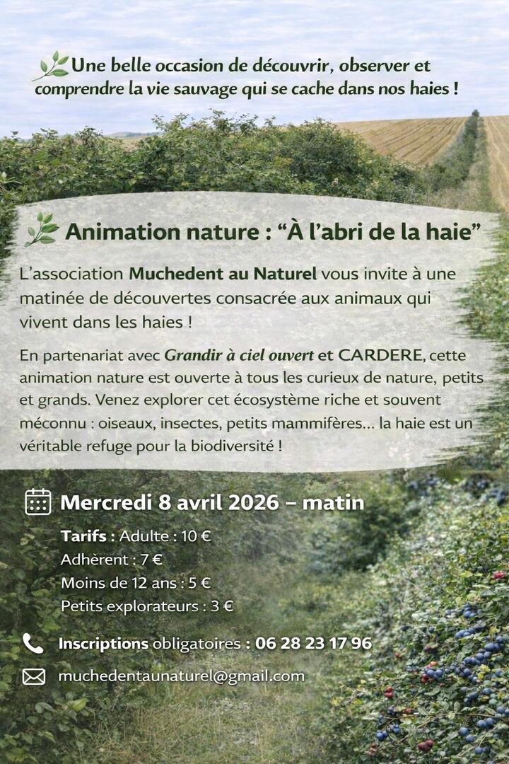 a l'abri de la haie