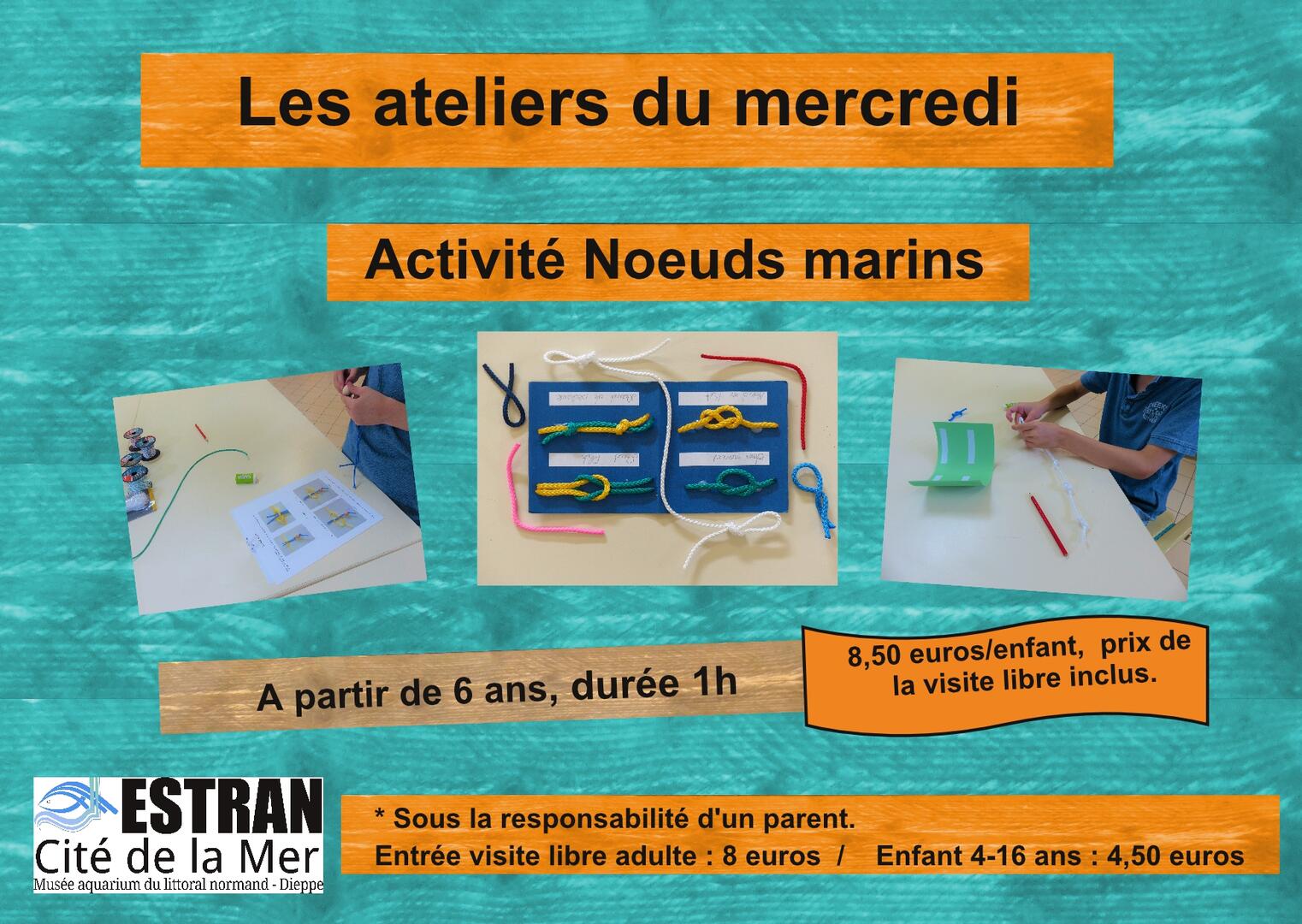 Activité noeuds marins