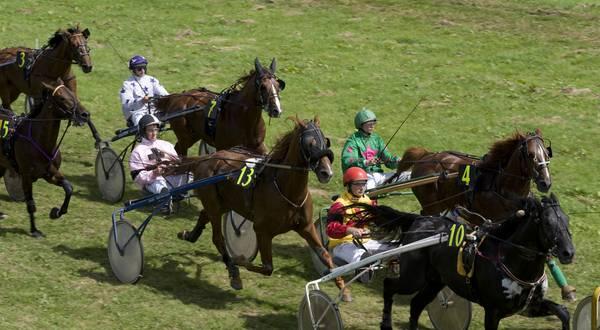 course hippique