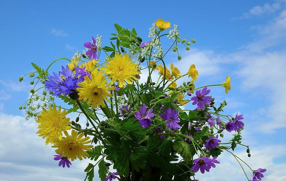 bouquet-Pixabay 07072021