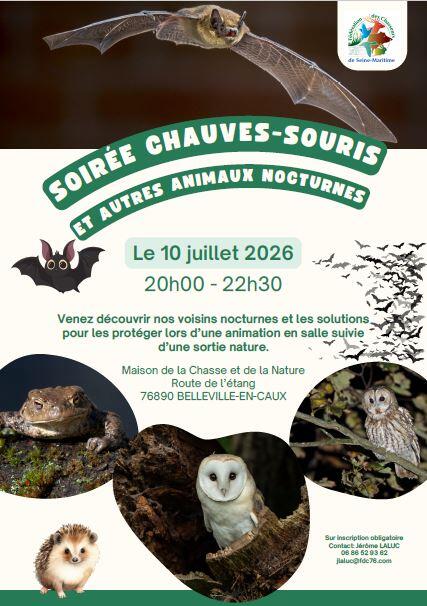 Soirée chauves souris