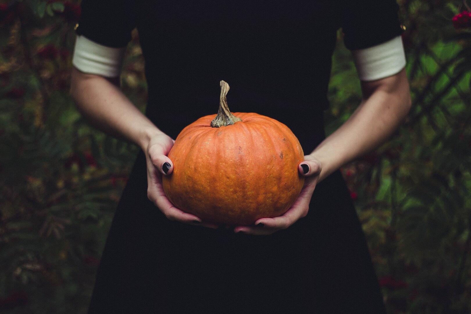 citrouille halloween