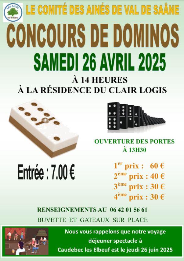 Concours de dominos