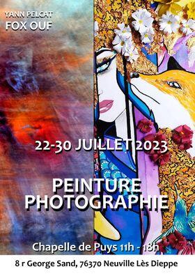 exposition Yann Pelcat 22 au 30 juillet 2023