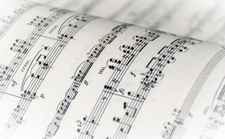 fete musique croco
