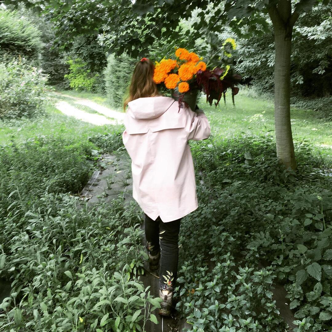 Fleurs