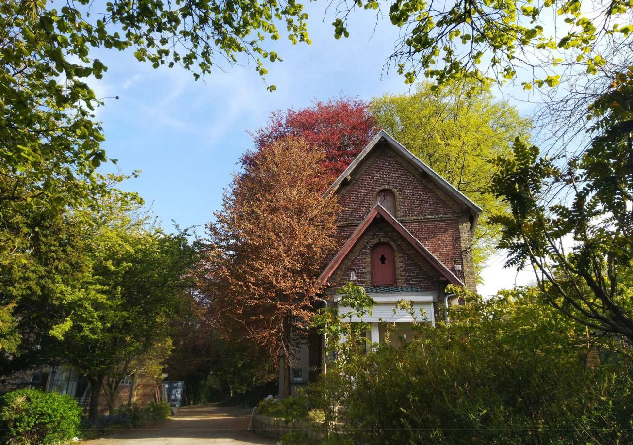 Domaine des Roches
