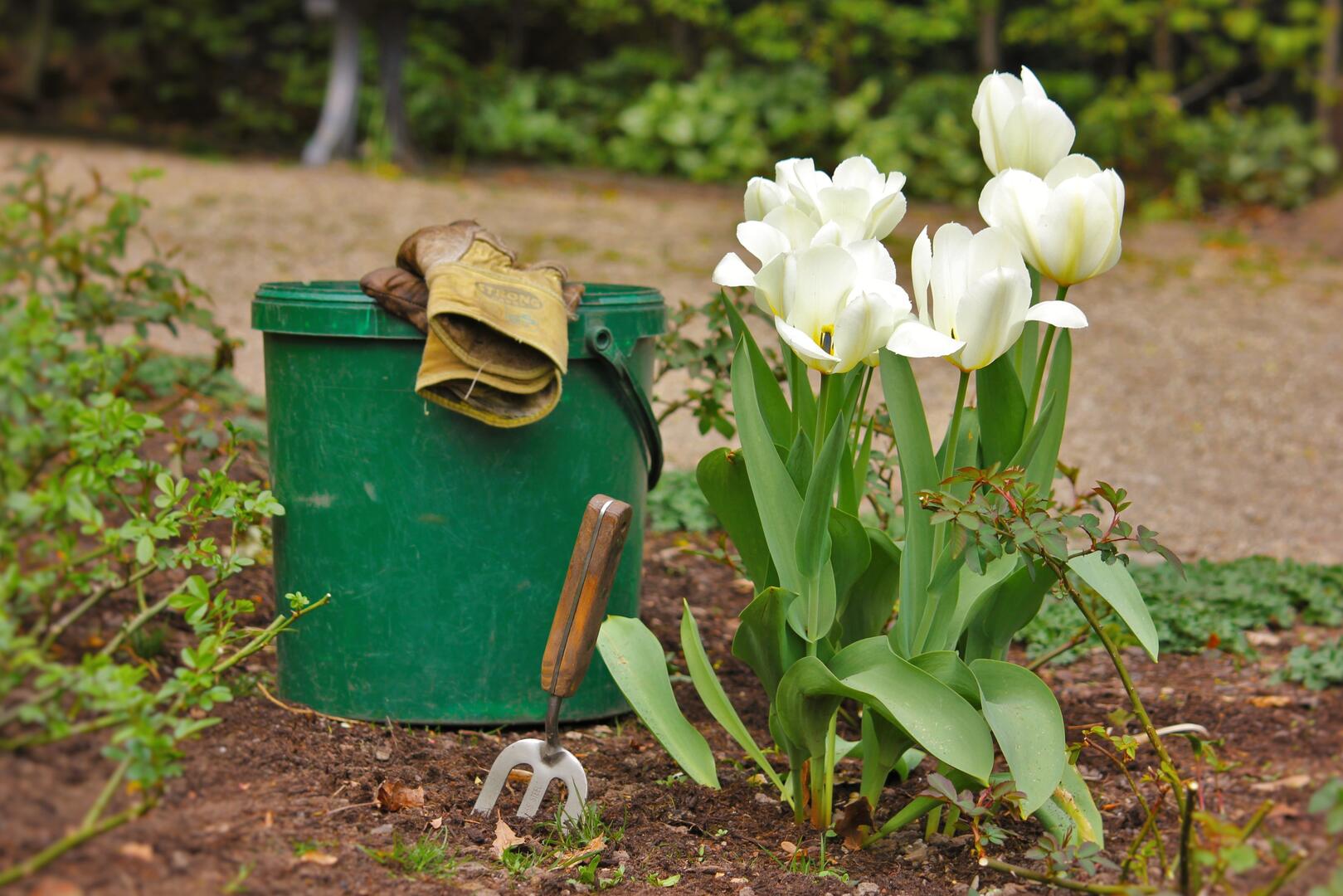Jardinage