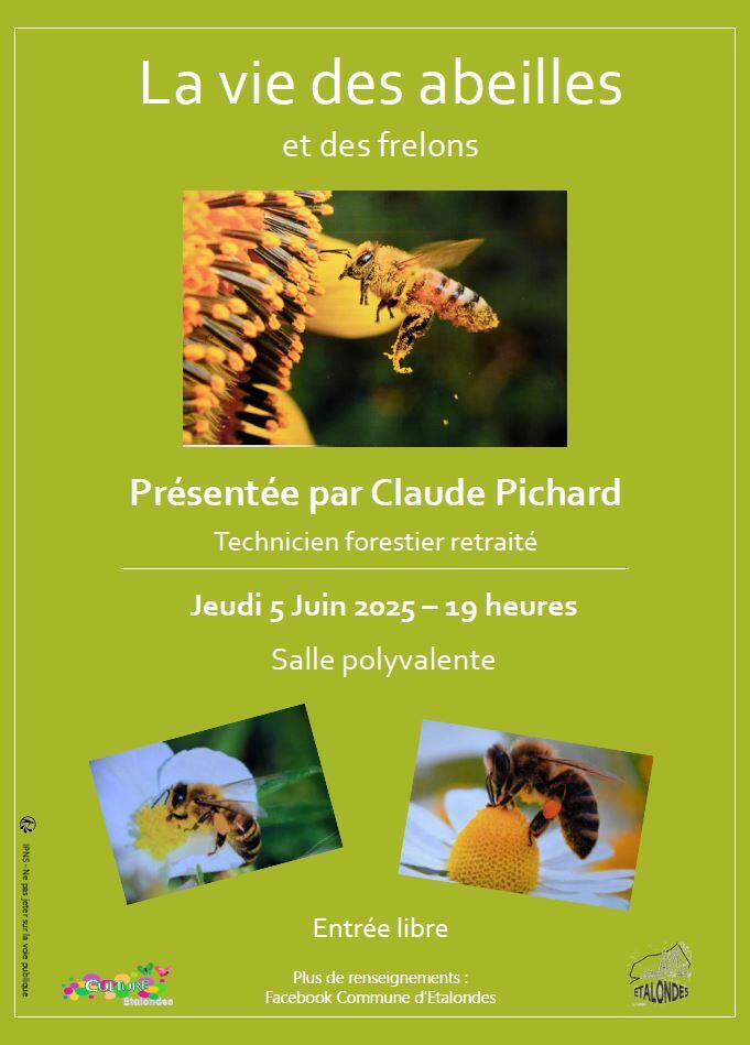 la vie des abeilles et des frelons - 5 juin étalondes