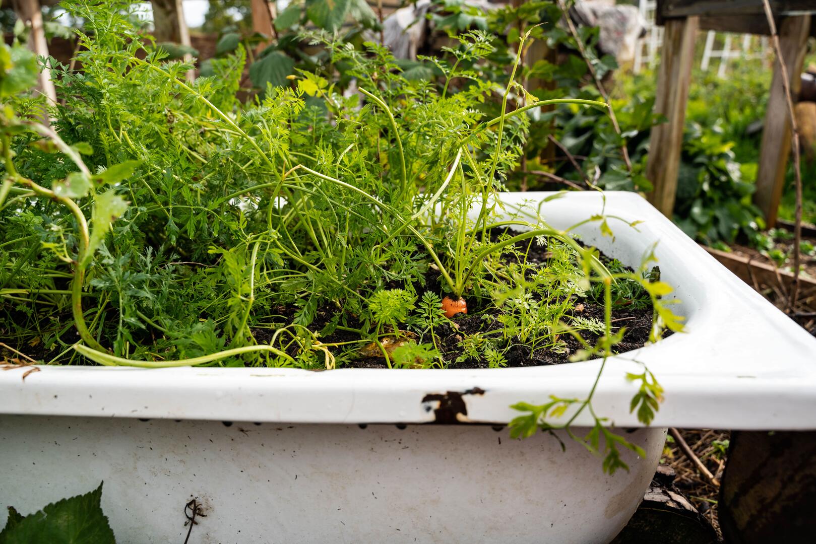 permaculture-nouvelles-elegances-young-wild-travelers-3