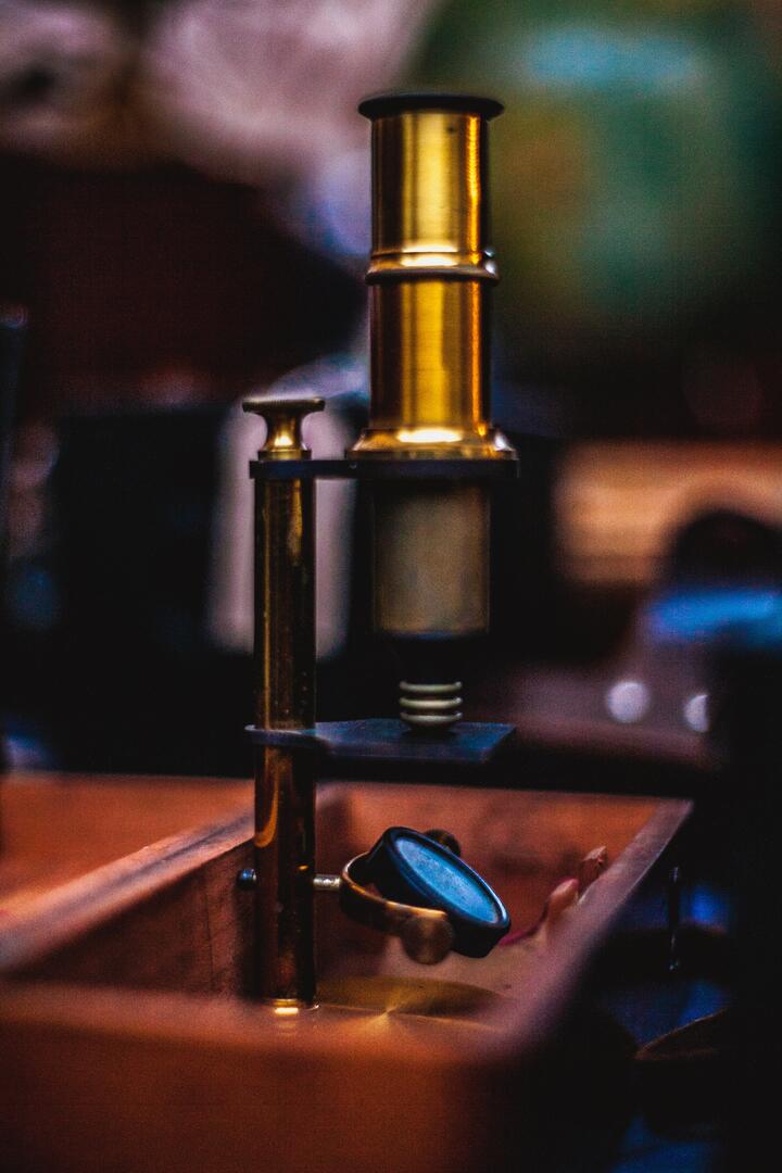 Patrimoine & Microscope