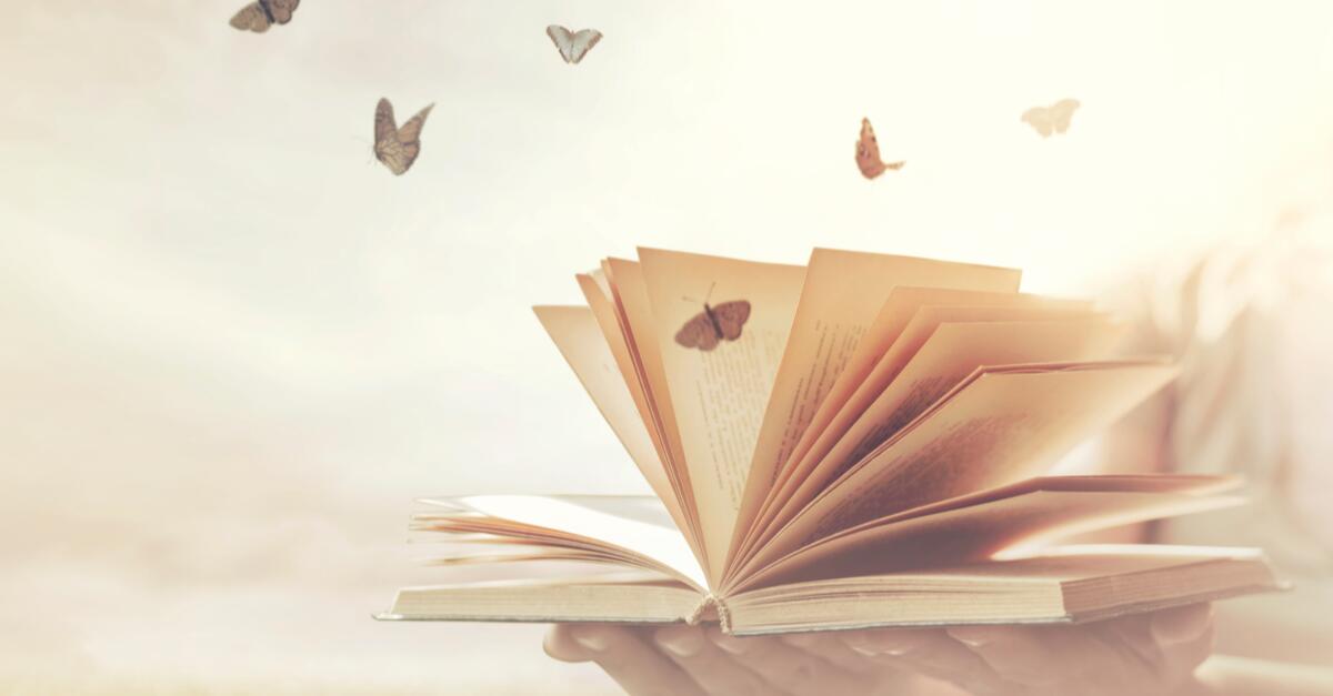 Salon du livre