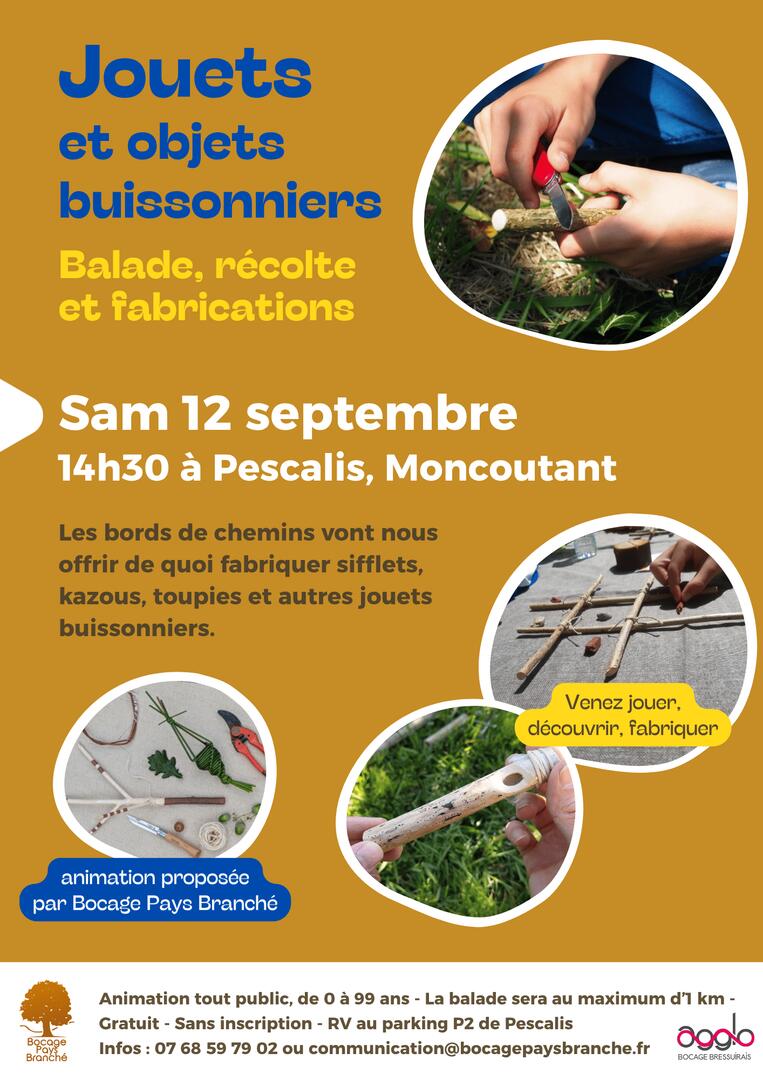 2609012-jouets-buissonniers-moncoutant-sur-sèvre