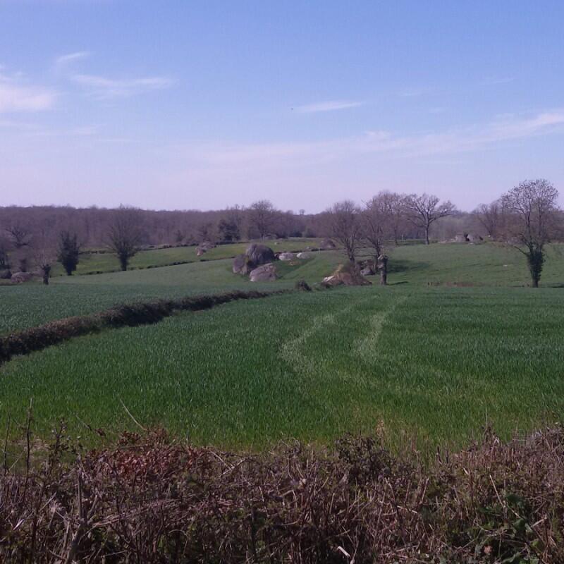 labsie-bois-hauts-de-gatine-rando-pedestre.jpg_1