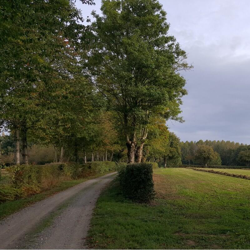 terves-pas-deesse-trivis-rando-pedestre.jpg_1