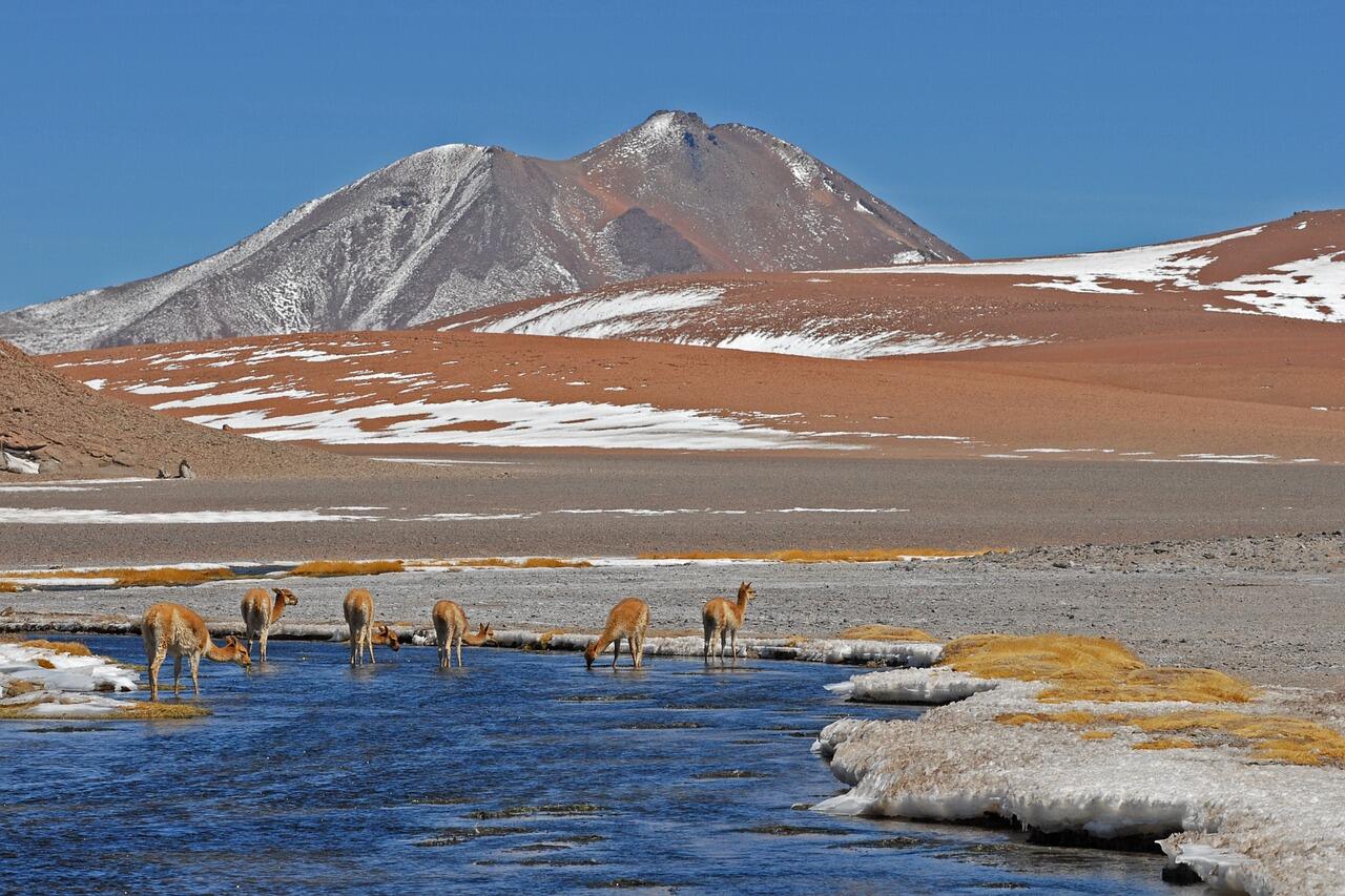 chile-g42de67c38_1280