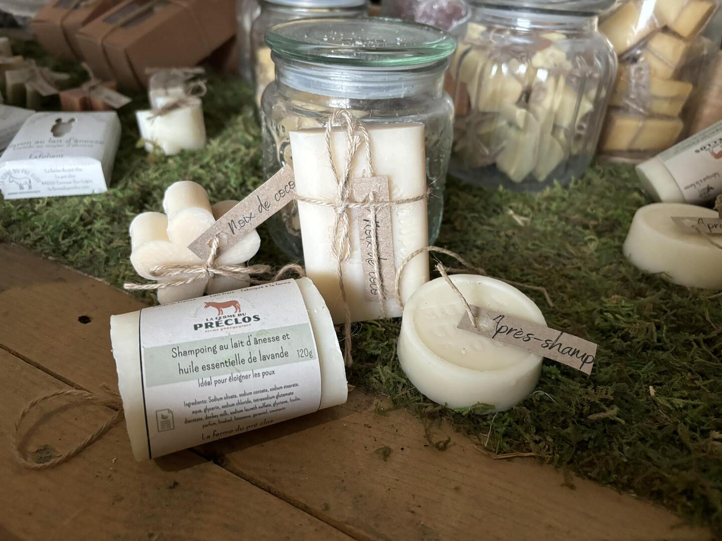 482319273_633299076316834_4679792309821548422_n