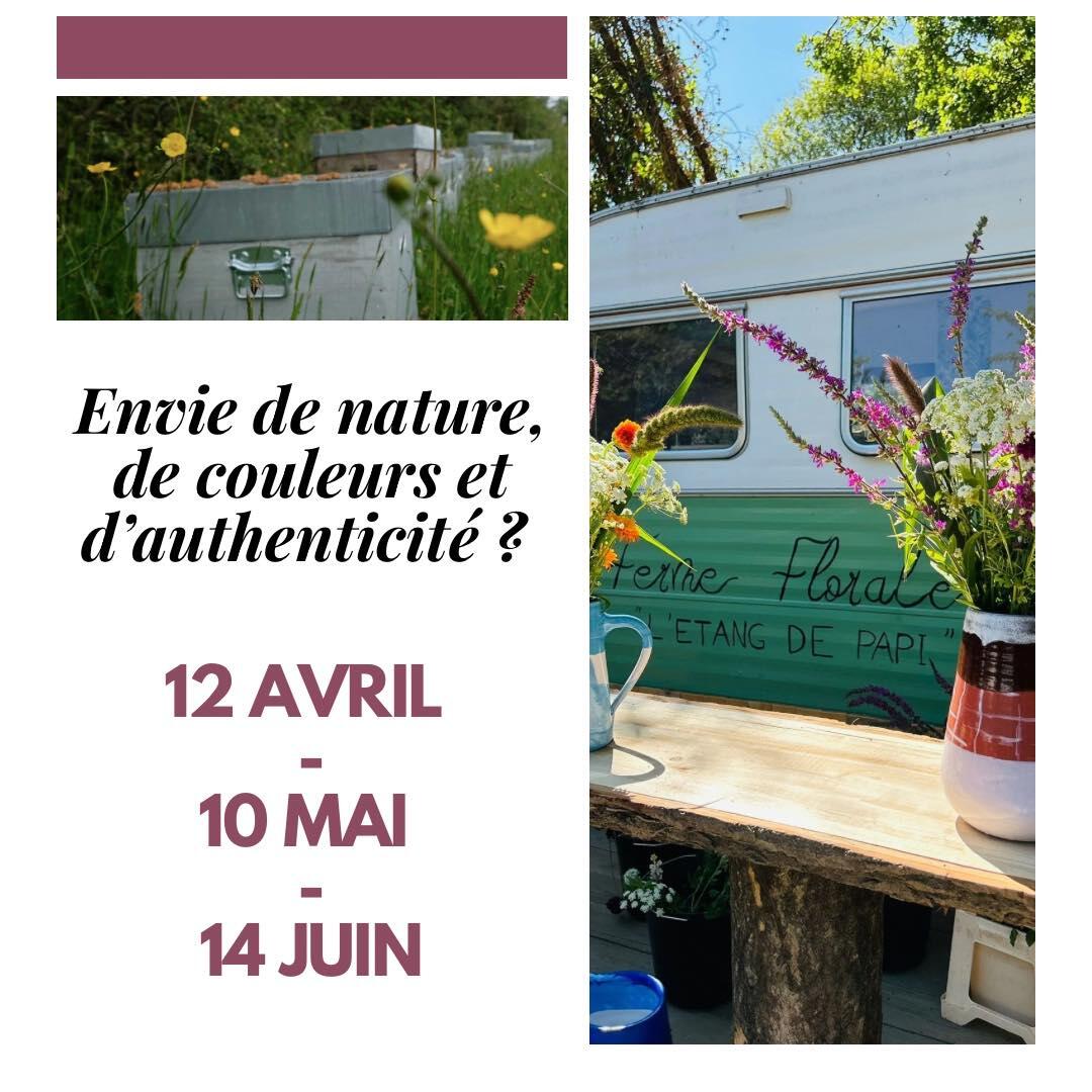 Etang de Papi - journée nature